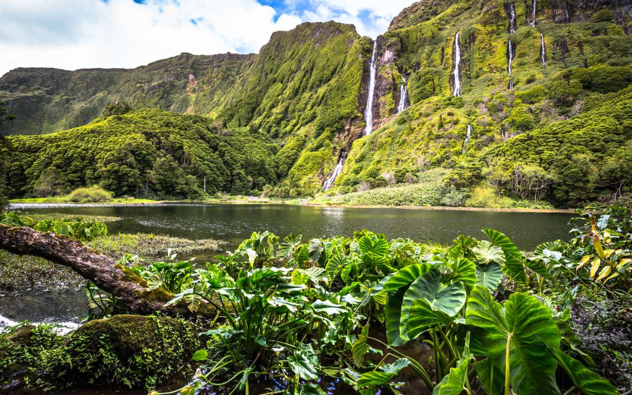 De meilleures aubaines - forfaits voyage